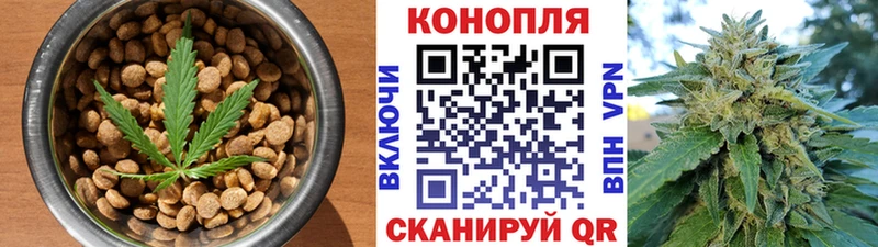 mega ссылки  Муравленко  Печенье с ТГК конопля  где продают  