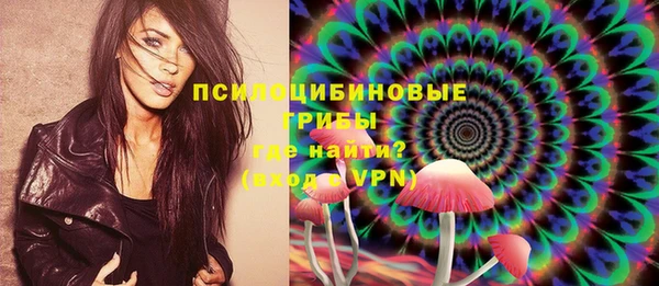 дурь Аркадак