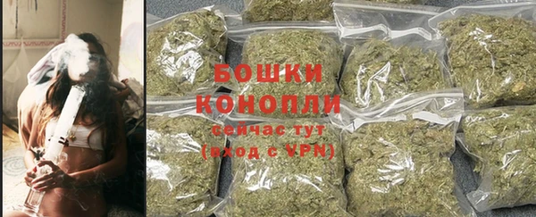 сатива Арсеньев