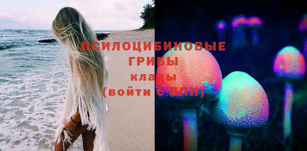 трава Армянск