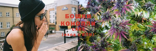дурь Аркадак