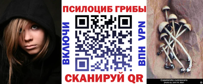 Галлюциногенные грибы мицелий  магазин продажи   Муравленко 