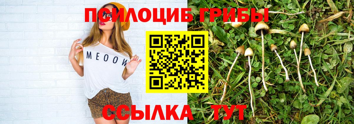 магазин продажи   Псилоцибиновые грибы прущие грибы  Вход с VPN  Псилоцибиновые грибы MAGIC MUSHROOMS  Муравленко 