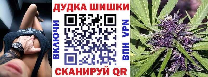 закладка  Муравленко  Каннабис планчик 